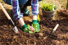 Simple Ways to Start Composting at Home