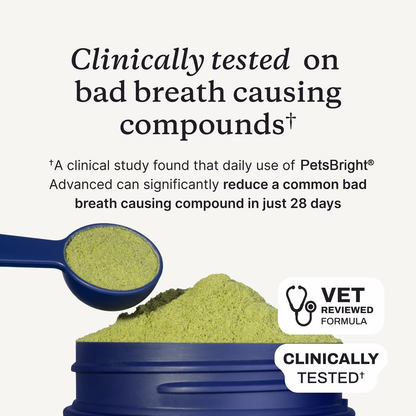🐾 Zvoevo® PetsBright Advanced Dental Powder for Clean Teeth & Fresh Breath