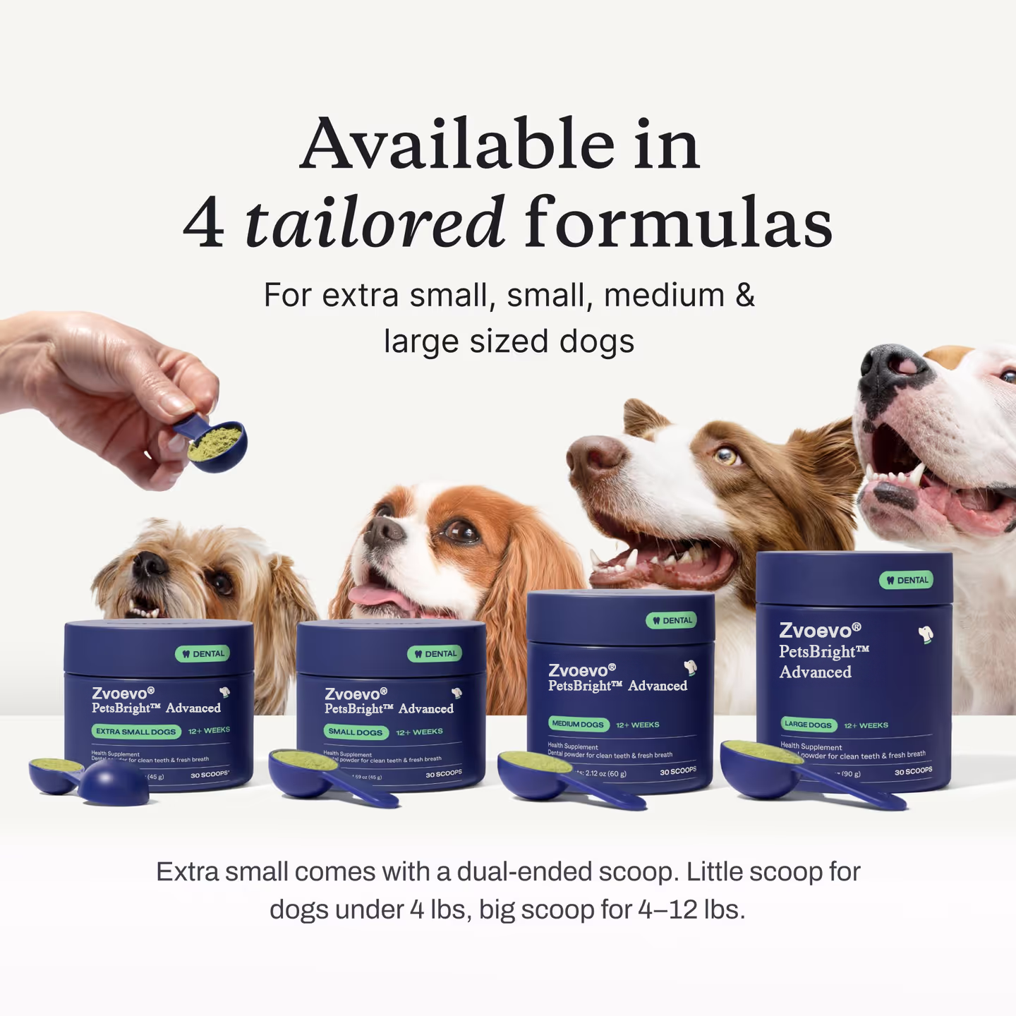 🐾 Zvoevo® PetsBright Advanced Dental Powder for Clean Teeth & Fresh Breath