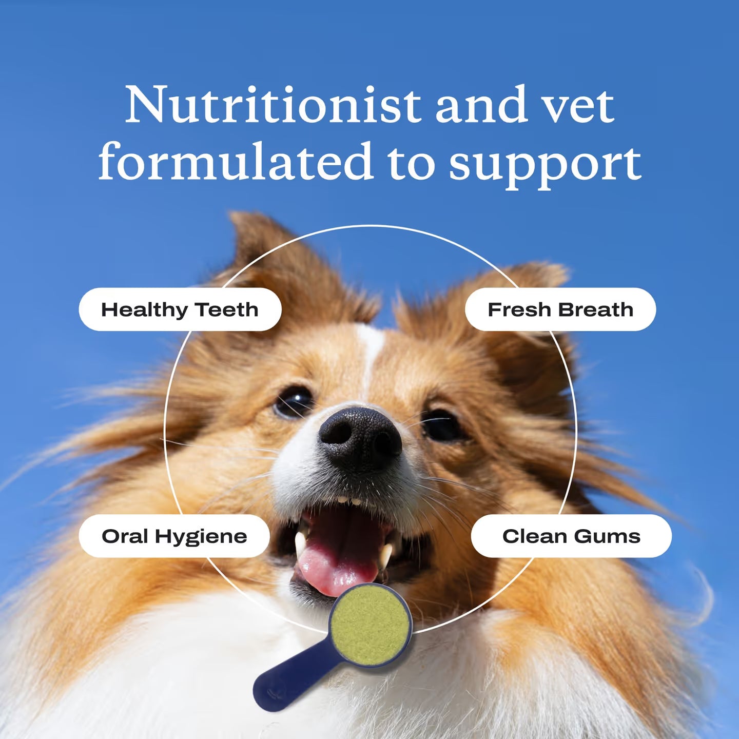 🐾 Zvoevo® PetsBright Advanced Dental Powder for Clean Teeth & Fresh Breath