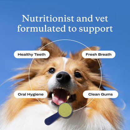 🐾 Zvoevo® PetsBright Advanced Dental Powder for Clean Teeth & Fresh Breath