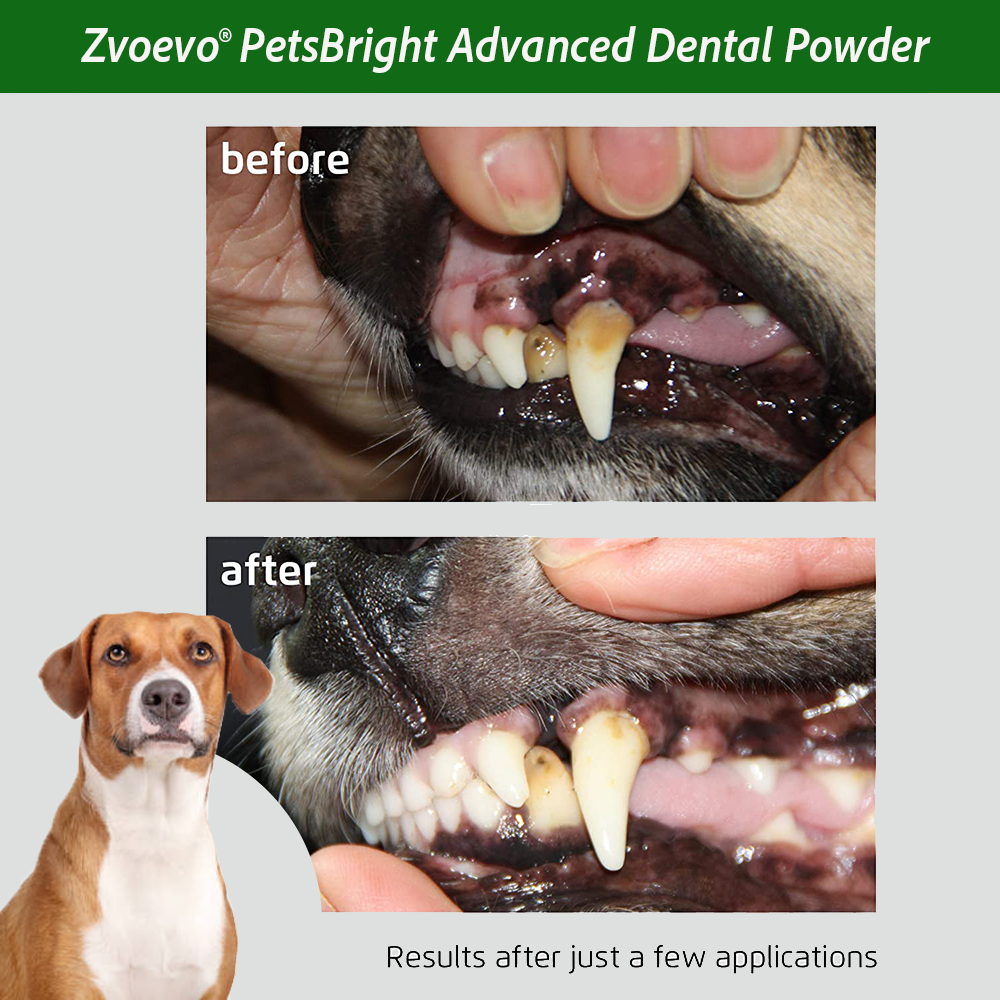 🐶 Zvoevo® PetsBright Advanced Dental Powder for Clean Teeth & Fresh Breath