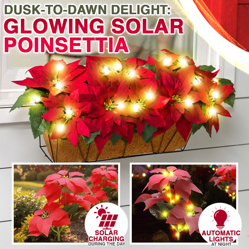 🌺 Artificial Christmas Poinsettia Flower Solar Light 🇬🇧 (Waterproof, Garden, Xmas Party Decoration)