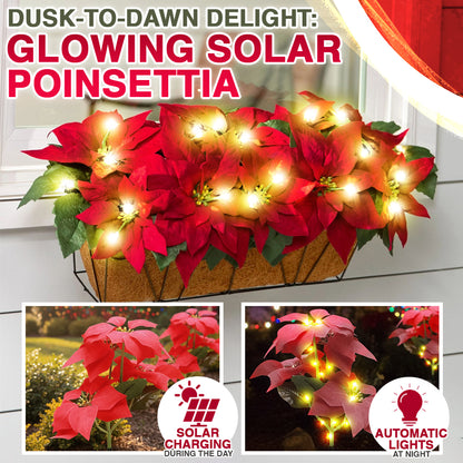 🌺 Artificial Christmas Poinsettia Flower Solar Light 🇬🇧 (Waterproof, Garden, Xmas Party Decoration)
