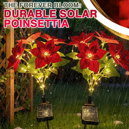 🌺 Artificial Christmas Poinsettia Flower Solar Light 🇬🇧 (Waterproof, Garden, Xmas Party Decoration)